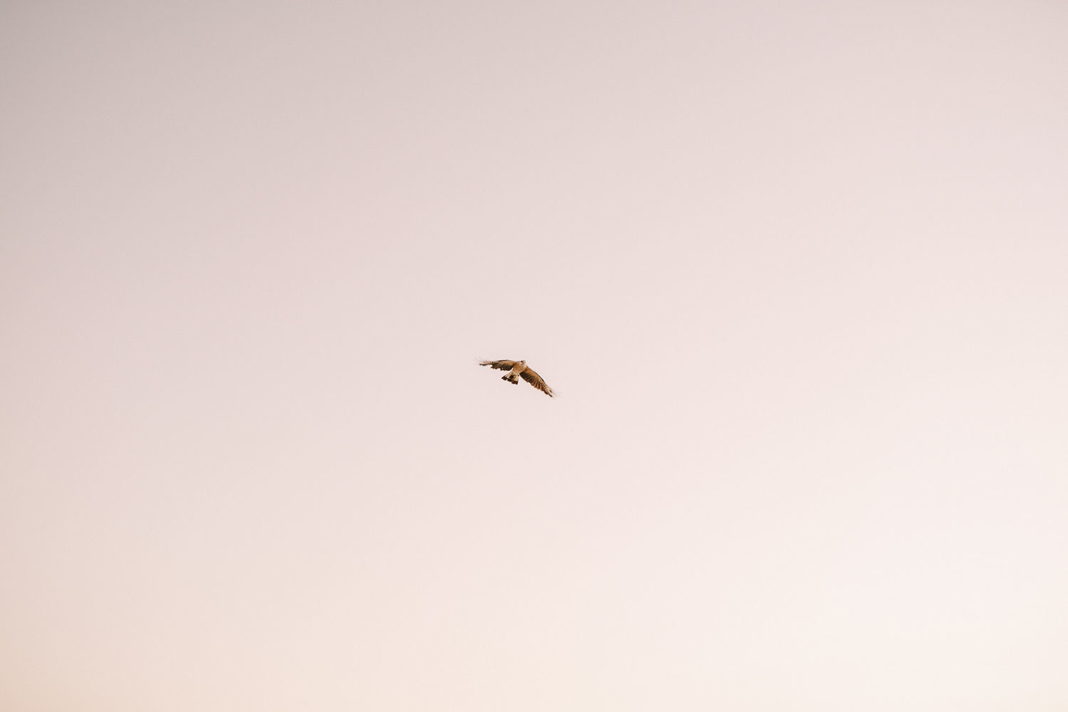 Foto Pré Casamento Jéssica e Gustavo - Imagem 16