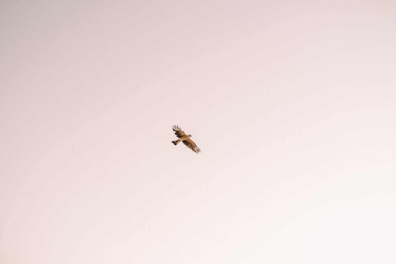 Foto Pré Casamento Jéssica e Gustavo - Imagem 17