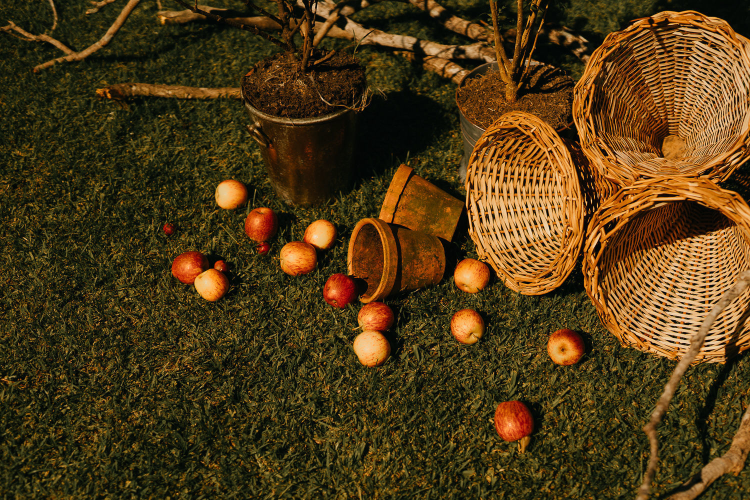 Foto Casamento Vinícius e Angélica - Imagem 69