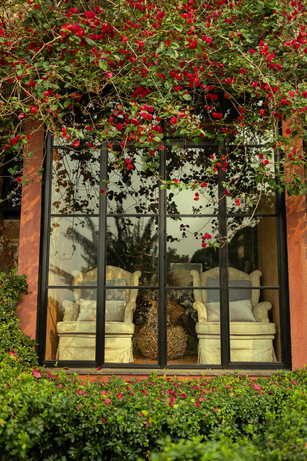 Foto Paula e Carlos - Imagem 12