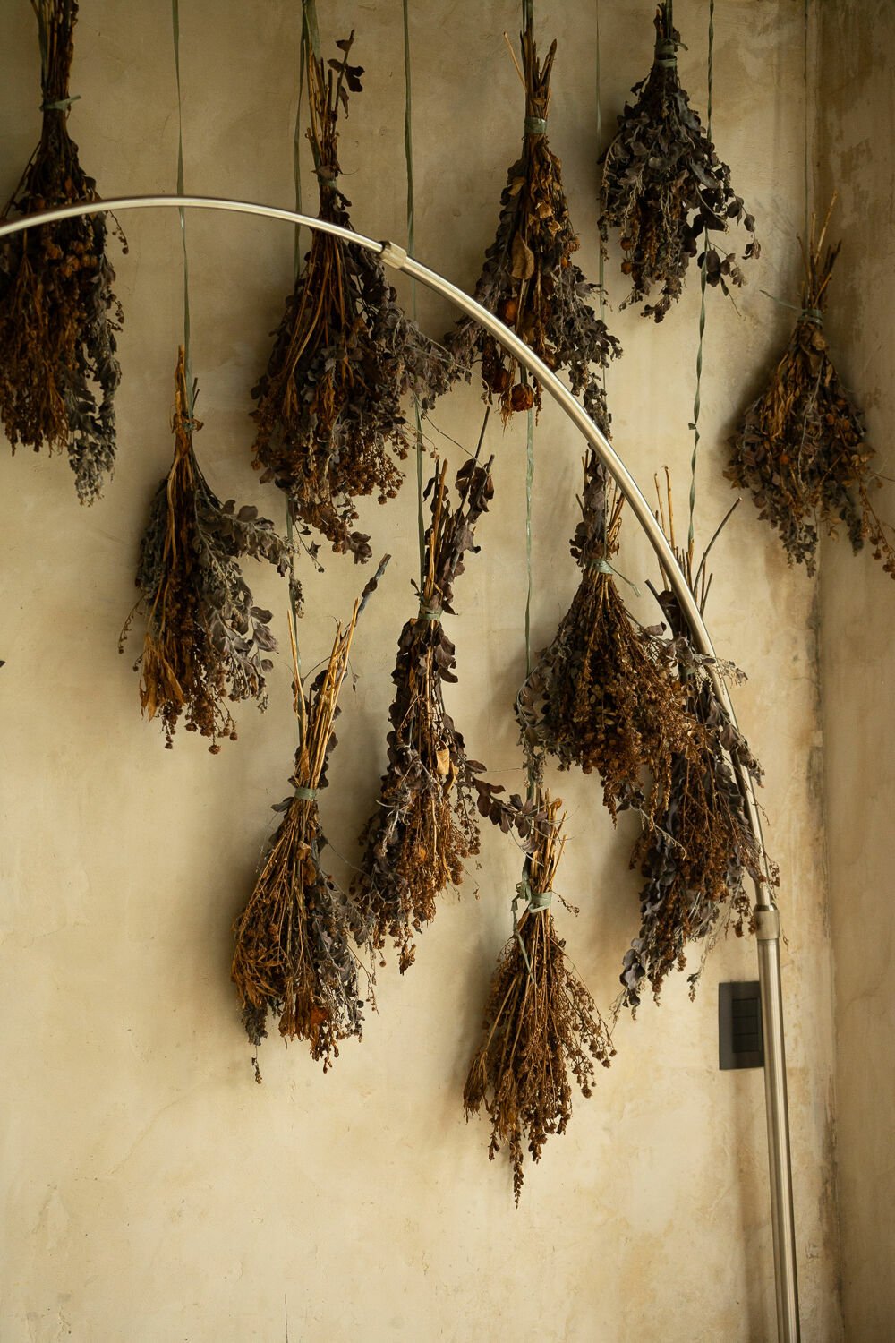 Foto PAULA E CARLOS  - Imagem 3