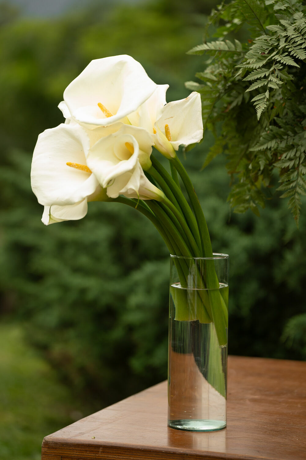 Foto PAULA E CARLOS  - Imagem 42